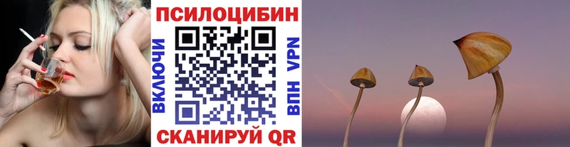 Псилоцибиновые грибы Psilocybe KRAKEN маркетплейс Костерёво